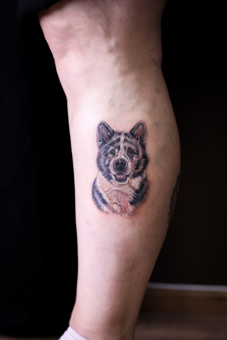Dog portrait